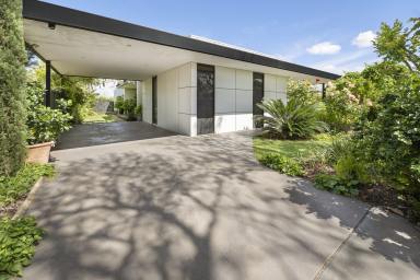 House For Sale - VIC - Swan Hill - 3585 - Character, Comfort & Space in a Sought-After Swan Hill Location (Image 2)