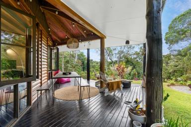 House For Sale - QLD - Daintree - 4873 - The Escape You've Been Promising Yourself  (Image 2)