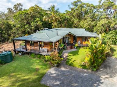 House For Sale - QLD - Daintree - 4873 - The Escape You've Been Promising Yourself  (Image 2)