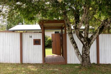 House For Sale - QLD - Cooroy - 4563 - Beautiful Character, Country Outlook, Walk to Town Living  (Image 2)