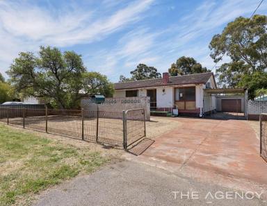 House For Sale - WA - Cloverdale - 6105 - RENOVATE, REBUILD OR REIMAGINE  (Image 2)