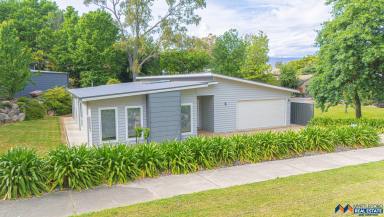 House For Sale - VIC - Myrtleford - 3737 - Room for the Whole Family - Comfort, Space and Convenience  (Image 2)