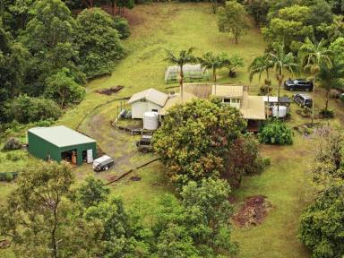 Lifestyle For Sale - NSW - Kyogle - 2474 - YOUR PART OF PARADISE  (Image 2)