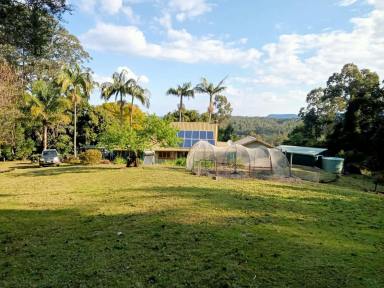 Lifestyle For Sale - NSW - Kyogle - 2474 - YOUR PART OF PARADISE  (Image 2)