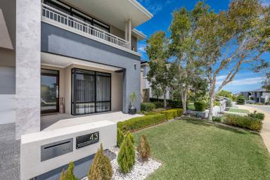 House For Sale - WA - Iluka - 6028 - UNIQUE & INVITING! (Image 2)