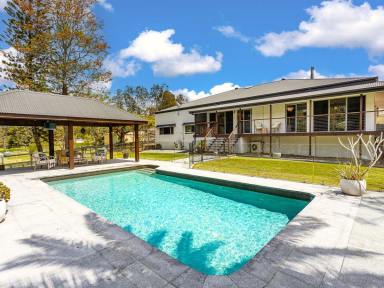 Acreage/Semi-rural Auction - QLD - Tallai - 4213 - Federation Charm on Over 2 Acres – Opposite Mudgeeraba Pony Club  (Image 2)