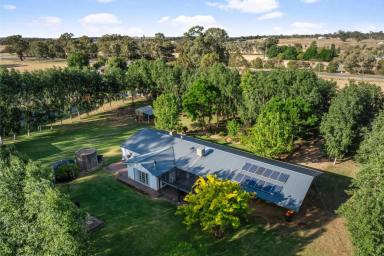 Other (Rural) Auction - NSW - Narrandera - 2700 - Country serenity, town convenience  (Image 2)