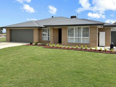 House For Sale - NSW - Young - 2594 - Ready to Move In - Presents like New  (Image 2)