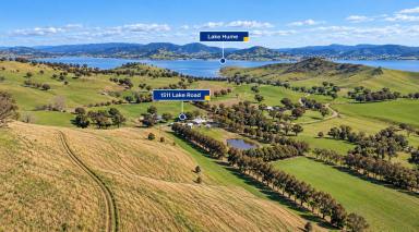 Lifestyle For Sale - VIC - Bethanga - 3691 - "Stephens Hill" Rural lifestyle Vibes!  (Image 2)