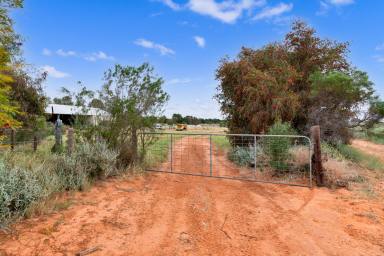 Mixed Farming For Sale - VIC - Nangiloc - 3494 - 49.6 Acres to Call Your Own (Image 2)