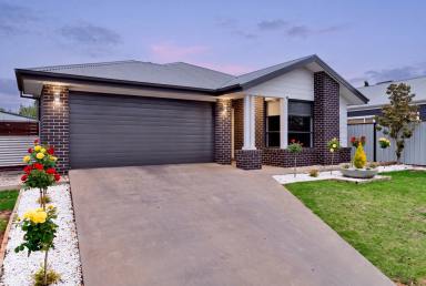House For Sale - VIC - Mildura - 3500 - Family Comfort with Serious Shedding  (Image 2)