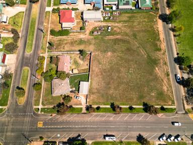 Residential Block For Sale - NSW - Euston - 2737 - Your Blank Canvas by the Murray  (Image 2)