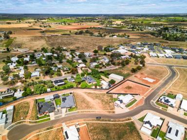 Residential Block For Sale - VIC - Red Cliffs - 3496 - Court Location, Blank Canvas, Endless Possibilities  (Image 2)