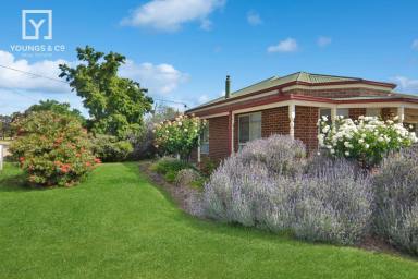 House For Sale - VIC - Mooroopna - 3629 - A Lovely Home – Perfect for First Home Buyers!  (Image 2)