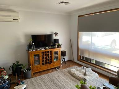 House For Lease - NSW - Denman - 2328 - Four Bedroom Brick Veneer Home On Large Lot  (Image 2)