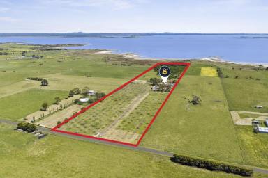 Mixed Farming For Sale - VIC - Corunnun - 3249 - MONTAMARIA  (Image 2)