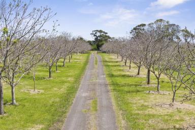 Mixed Farming For Sale - VIC - Corunnun - 3249 - MONTAMARIA  (Image 2)