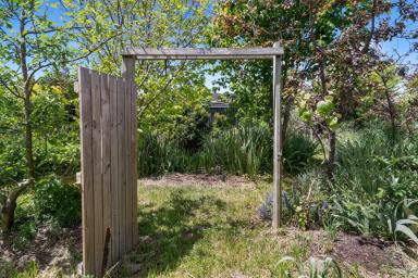Residential Block For Sale - NSW - Goulburn - 2580 - 25 Hercules Street, Goulburn – A Ready-Made Market Garden with Home-Building Potential (Image 2)