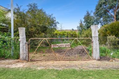 Residential Block For Sale - NSW - Goulburn - 2580 - 25 Hercules Street, Goulburn – A Ready-Made Market Garden with Home-Building Potential (Image 2)