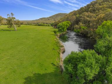 Other (Rural) Auction - NSW - Tumut - 2720 - "Riverside" (Image 2)