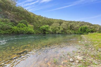 Other (Rural) Auction - NSW - Tumut - 2720 - "Riverside" (Image 2)