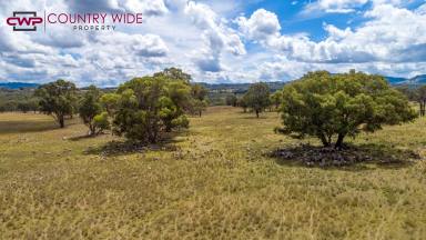 Mixed Farming For Sale - NSW - Glen Innes - 2370 - “Lochmore” – Productive Livestock Country with Lifestyle Appeal  (Image 2)