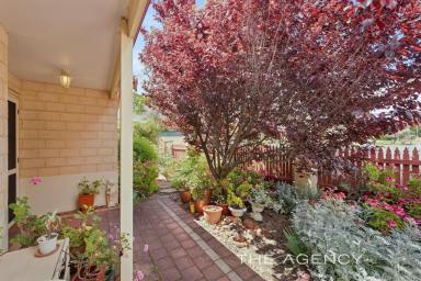 House For Sale - WA - Kalamunda - 6076 - Open Sat & Sun 12:00  (Image 2)