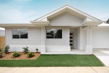 House For Sale - QLD - Yandina - 4561 - Brand New Single Level Luxury - Walk to Everything!  (Image 2)