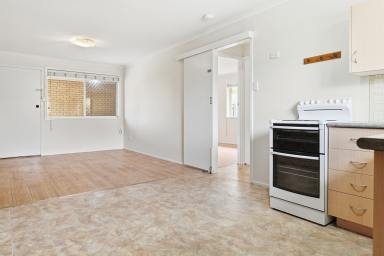 Unit For Lease - QLD - Drayton - 4350 - Low Maintenance Unit with Lawn Maintenance Included (Image 2)