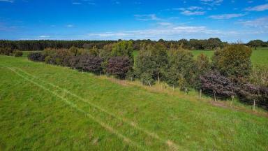 Livestock For Sale - VIC - Tyrendarra - 3285 - Secure Southern Grazing – Picturesque and Productive  (Image 2)