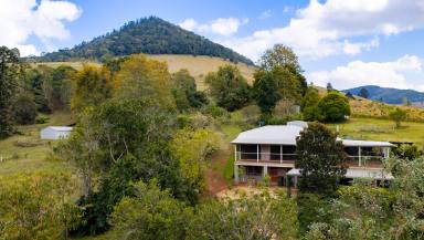 Acreage/Semi-rural For Sale - QLD - Amamoor - 4570 - Rich Red Soil, Rural Views & Room to Grow!  (Image 2)