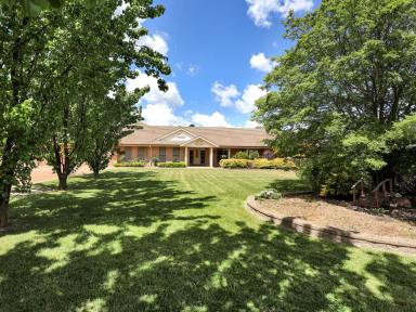 House For Sale - NSW - Moss Vale - 2577 - Sprawling Family Home - 1.5 acres Level Lawns (Image 2)