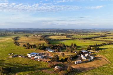 Mixed Farming For Sale - NSW - Wagga Wagga - 2650 - BROUGHTON BROOK  (Image 2)