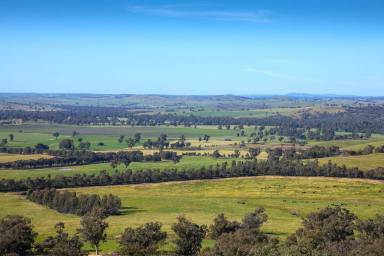 Mixed Farming For Sale - NSW - Wagga Wagga - 2650 - BROUGHTON BROOK  (Image 2)