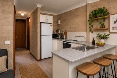 Apartment For Lease - NSW - Nowra - 2541 - One Bedroom Unit (Image 2)