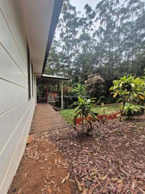 House For Sale - QLD - Ravenshoe - 4888 - Gold Coast Hide away in the rainforrest. (Image 2)
