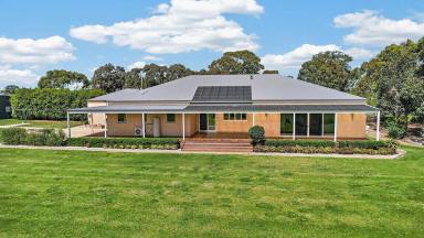 Lifestyle For Sale - VIC - Yulecart - 3301 - MODERN FAMILY LIVING - SWEEPING RURAL VIEWS  (Image 2)
