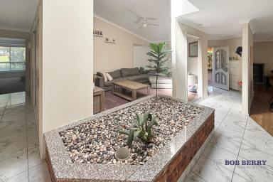 House For Lease - NSW - Dubbo - 2830 - Beautiful Spacious 3 Bedroom Home with Multiple Living Areas in a Quiet Street (Image 2)