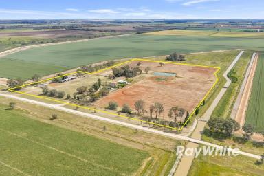 Cropping For Sale - VIC - Yando - 3537 - Quando I 10 Hectares | Renovated Homestead | Versatile Agricultural Opportunity (Image 2)