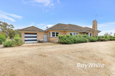 Cropping For Sale - VIC - Yando - 3537 - Quando I 10 Hectares | Renovated Homestead | Versatile Agricultural Opportunity (Image 2)