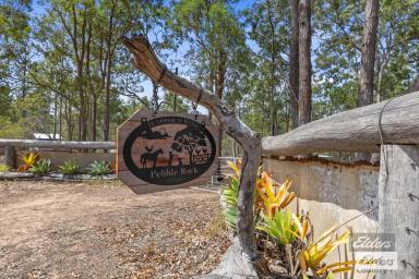 House For Sale - QLD - Glenwood - 4570 - YOUR COUNTRY ESCAPE AWAITS – SPACE, PRIVACY & ENDLESS POTENTIAL! (Image 2)