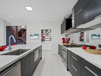 House For Sale - QLD - Maudsland - 4210 - Luxury Half-Acre Family Home | Quality Built | Shed, Solar & Storage | Motivated Vendor | Space, privacy and quality construction on 2,012m²  (Image 2)