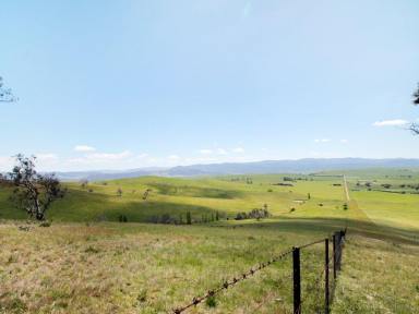 Cropping For Sale - VIC - Hinnomunjie - 3898 - SUBSTANTIAL GRAZING LAND IN HINNOMUNJIE  (Image 2)