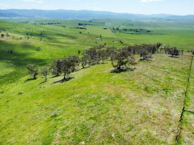 Cropping For Sale - VIC - Hinnomunjie - 3898 - SUBSTANTIAL GRAZING LAND IN HINNOMUNJIE  (Image 2)