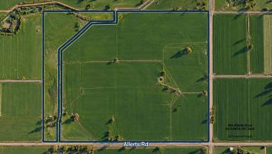 Mixed Farming For Sale - VIC - Katunga - 3640 - ALLERT FAMILY FARMLAND — KATUNGA (Image 2)