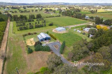 Lifestyle For Sale - WA - Harvey - 6220 - Lifestyle Living with Dual Residences on 10 Acres (Image 2)