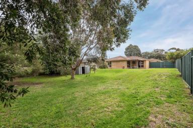 House For Sale - WA - Margaret River - 6285 - Big Block, Solid Brick Home, Endless Possibilities (Image 2)
