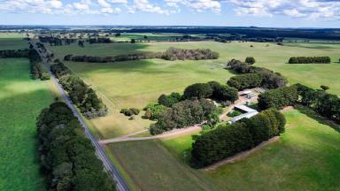 Livestock For Sale - VIC - Macarthur - 3286 - Versatile Generational Macarthur Country (Image 2)