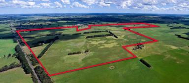 Livestock For Sale - VIC - Macarthur - 3286 - Versatile Generational Macarthur Country (Image 2)