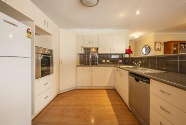 House Auction - NSW - Grafton - 2460 - PRIVATE SINGLE-LEVEL BRICK HOME NEAR THE CBD (Image 2)